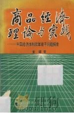 商品经济理论与实践 中国经济体制改革若干问题探索 1989 PDF电子版封面 781029010X 金建著