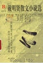 戴明贤散文小说选（1996 PDF版）