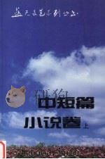 蓝天文艺系列丛书 中短篇小说卷 上 1985-1990 1993 PDF电子版封面 780081355X 空军政治部编