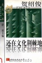还在文化荆棘地（1997 PDF版）