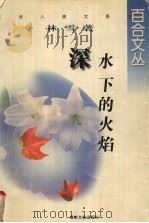 深水下的火焰 1998 PDF电子版封面 7540418087 林雪著