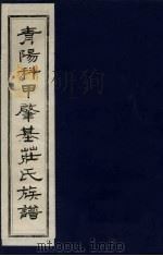 青阳科甲肇基壮氏族谱  9（ PDF版）