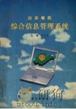 山东地税 综合信息管理系统 1998 PDF电子版封面 7805587485 吕凤强