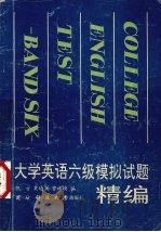 大学英语六级模拟试题精编（1993 PDF版）