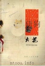 火花  惠民地区短篇小说集（1972 PDF版）