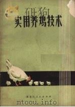 实用养鸡技术（1974 PDF版）