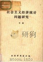 社会主义经济统计问题研究  中（ PDF版）