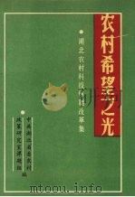 农村希望之光 1988 PDF电子版封面 省委农村政策研究课题组编