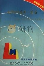 武汉经济发展之基石  1991年大中型工业企业概况（ PDF版）