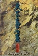 天下玉石王 纪实文学 1996 PDF电子版封面 7531315726 陆萌著