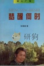 梦醒何时 1996 PDF电子版封面 7805276188 张晓春著