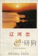 辽河恋 1993 PDF电子版封面 753060 丛云峰著