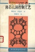 沸石孔洞控制工艺（1992 PDF版）