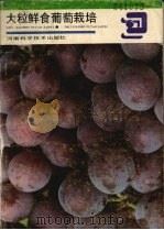 大粒鲜食葡萄栽培（1989 PDF版）