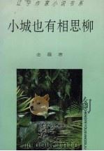 小城也有相思柳 1995 PDF电子版封面 7531314754 金霞著