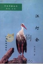 江灯会 1996 PDF电子版封面 7805279004 胡德伟著