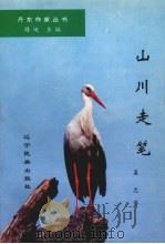 山川走笔 1996 PDF电子版封面 7805279004 姜忠著