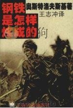 钢铁是怎样炼成的 1999 PDF电子版封面 7532722171 (苏)Н·奥斯特洛夫斯基(НиколайОстровский
