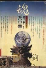 魂系中国（1992 PDF版）