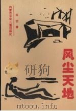 风尘天地 1994 PDF电子版封面 753120441X 朱岩著