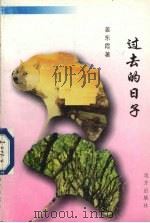 过去的日子 1998 PDF电子版封面 7805953856 姜东霞著