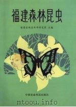 福建森林昆虫 1991 PDF电子版封面 780026209X 福建省林业科学研究所主编