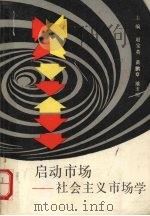 启动市场  社会主义市场学（ PDF版）