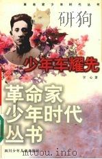 少年车耀先 1999 PDF电子版封面 7536520786 字心著