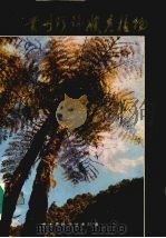 贵州珍稀濒危植物（1989 PDF版）