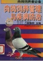 肉鸽饲养管理与疾病防治（1995 PDF版）