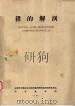 猪的解剖（1986 PDF版）