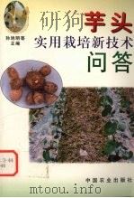 芋头实用栽培新技术问答（1999 PDF版）