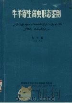 牛羊寄生线虫形态鉴别（1983 PDF版）
