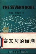 塞文河的涌潮 1989 PDF电子版封面 7561605013 (英)罗博瑟姆著;钱旭中译