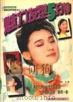 魅力发型5分钟  368款（1996 PDF版）