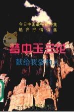 梦中玉兰花 献给我爱的人 1994 PDF电子版封面 7507207374 艳齐著