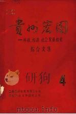 贵州宏图 科技、经济、社会发展探索 综合文集 4 1983 PDF电子版封面 贵州省科技规划领导小组,贵州省科技情报研究所编