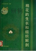 棉花的生长与组织解剖（1988 PDF版）