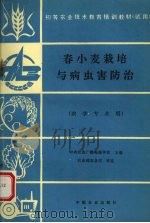 春小麦栽培与病虫害防治（1995 PDF版）