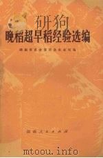 晚稻超早稻经验选编（1976 PDF版）