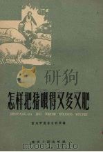 怎样把猪喂得又多又肥（1959 PDF版）