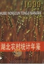 湖北农村统计年鉴  1999（1999 PDF版）