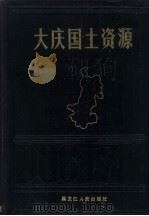 大庆国土资源 1989 PDF电子版封面 7207013817 张庆成主编
