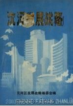 沈河发展战略 1988.03 PDF电子版封面 沈河区发展战略编委会编