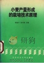 小麦产量形成的栽培技术原理（1994 PDF版）