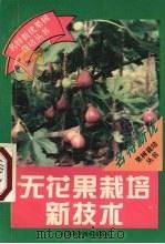 无花果栽培新技术（1996 PDF版）
