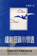 缅甸短篇小说选 1999 PDF电子版封面 毕重群译