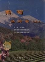 葡萄 品种卷 上 1999 PDF电子版封面 7541612324 张茂扬等主编