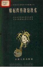 棉稻两熟栽培技术 1958 PDF电子版封面 16116·36 云南省农业厅经济处编