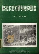 棉花形态和解剖结构图谱 1985 PDF电子版封面 13209·125 徐是雄,胡适宜著